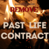 Remove past life contract