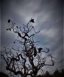 ♂ MARTIAN WRATH OIL – Mars