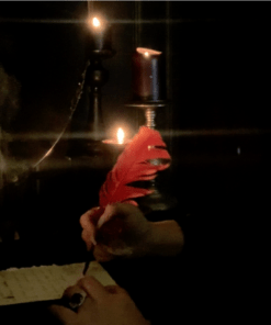 savannah black witch coven