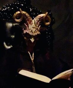 Alternative view of VIP SPELL-CASTING w Savannah Only