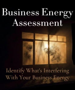 Business Energy Assessment